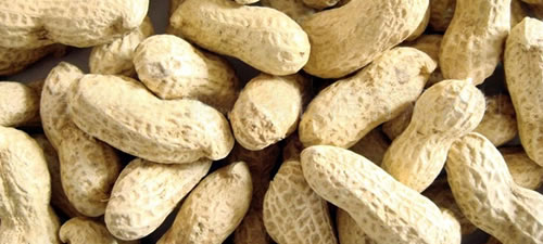 peanuts-inshell