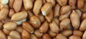 peanuts-roasted