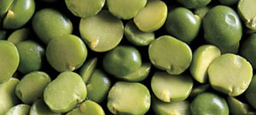 peas-split-green