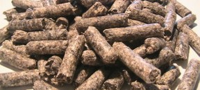 beet_pulp_pellet