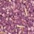 oats-groats-purple-steel-cuts