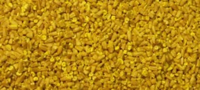 oats-groats-yellow-steel-cuts