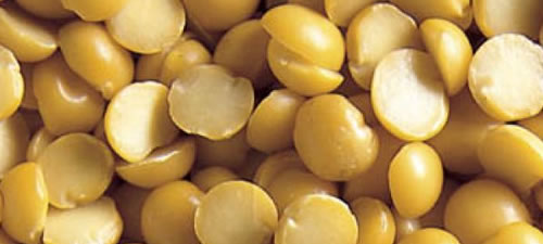 peas-split-yellow
