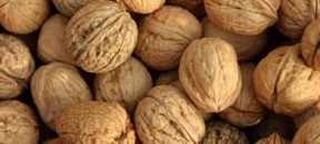 walnuts-inshell